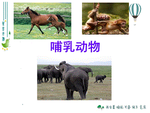 湘科版三年級(jí)上冊(cè)科學(xué)2.4 哺乳動(dòng)物 課件(共23張PPT).pptx