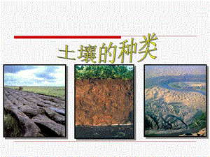 湘科版三年級上冊科學3.3 土壤的種類課件 (共16張PPT).ppt