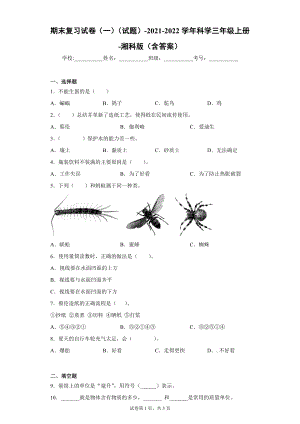湘科版三年級上冊科學期末復習試卷（試題）一.docx