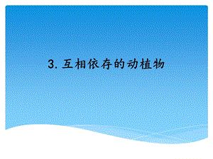 湘科版四年級下冊科學3 互相依存的動植物 課件.ppt