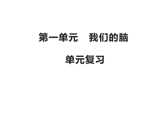 湘科版五年級上冊科學第一單元 我們的腦復習（課件）.pptx