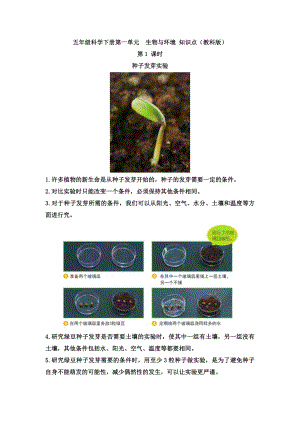 教科版五年級下冊科學知識點總結（全冊復習匯總共31頁）.docx