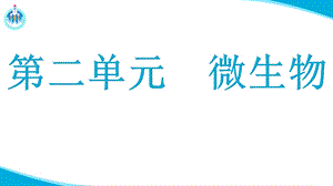 湘科版五年級下冊科學2.2觀察微生物（課件）.pptx