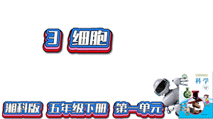 湘科版五年級下冊科學(xué)1.3細(xì)胞（課件）.pptx