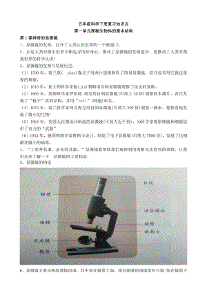 湘科版五年級下冊科學第01單元：探秘生物體的基本結(jié)構(gòu)知識點.docx