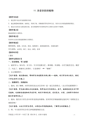 蘇教版一年級下冊科學11.多姿多彩的植物-教案（錢老師）.doc