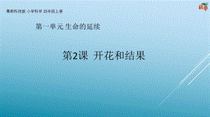 粵科版科學四年級上冊第2課《開花和結果》教學課件.pptx