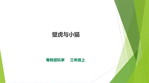 粵教版三年級上冊科學課件-1.3《壁虎與小貓》.ppt