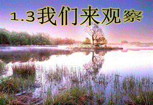 粵科版一年級上冊科學1.3我們來觀察課件.pptx