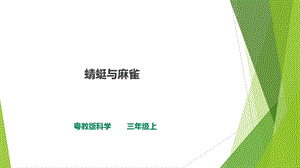 粵科版三年級上冊科學課件-1.2蜻蜓與麻雀(共21張PPT).ppt