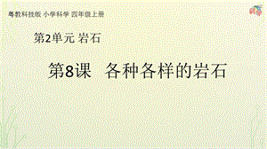 粵科版科學四年級上冊第8課《各種各樣的巖石》教學課件.pptx