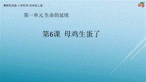 粵科版科學四年級上冊第6課《母雞生蛋了》教學課件.pptx