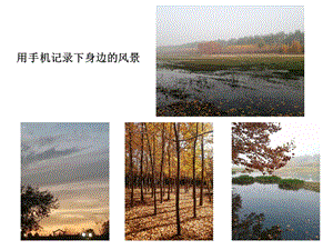 泰山版四年級下冊信息技術第2課 秀秀美圖更漂亮-參考課件1.pptx