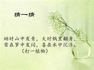 第2課我給家人泡杯茶（課件）-四年級上冊勞動鄂教版(共21張PPT).ppt.pptx