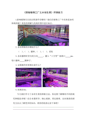 小學綜合實踐活動-探秘植物工廠之水培生菜郭-評測練習.pdf