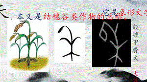 北師大版四年級(jí)上冊(cè)書法課件-第9課禾木旁(共25張PPT).ppt.pptx