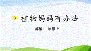2024-2025部編版語文二年級上冊3植物媽媽有辦法.pptx