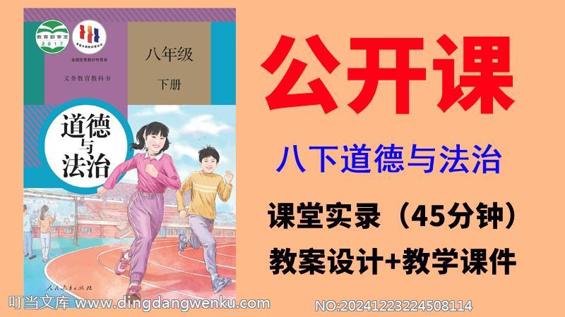 人教部編版八年級下冊道德與法制公開課視頻+教案+課件（全冊一師一優(yōu)課）.rar