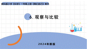 24新教科版一年級上冊科學2.6《觀察與比較》課件(共8張PPT).pptx