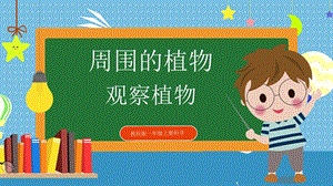教科版小學科學一年級上冊2.觀察植物課件.pptx