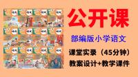 新人教部編版六年級下冊語文公開課視頻+教案+課件ppt（全冊一師一優課）.rar