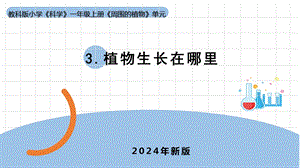 24新教科版一年級上冊科學1.3《植物長在哪里》課件(共12張PPT).pptx