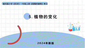 24新教科版一年級上冊科學1.5植物的變化課件(共6張PPT).pptx