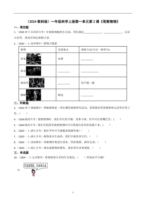 （2024教科版）一年級科學上冊第一單元第2課《觀察植物》課時練習題(學生版).docx
