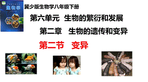 25新冀少版八年級下冊生物6.2.2 變異 課件.pptx