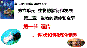 25新冀少版八年級下冊生物6.2.1遺傳（一、性狀和性狀的傳遞）課件.pptx
