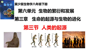 25新冀少版八年級下冊生物6.3.3 人類的起源 課件.pptx
