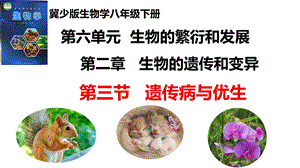 25新冀少版八年級下冊生物6.2.3 遺傳病與優生 課件.pptx