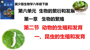 25新冀少版八年級(jí)下冊(cè)生物6.1.2.1動(dòng)物的生殖和發(fā)育（一、昆蟲的生殖和發(fā)育）課件.pptx