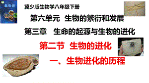25新冀少版八年級(jí)下冊(cè)生物6.3.2.1生物的進(jìn)化（一、生物進(jìn)化的歷程）課件.pptx