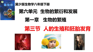 25新冀少版八年級(jí)下冊(cè)生物6.1.3人的生殖和胚胎發(fā)育課件.pptx