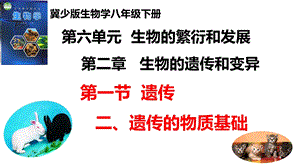 25新冀少版八年級下冊生物6.2.1.2 遺傳（二、遺傳的物質基礎） 課件.pptx
