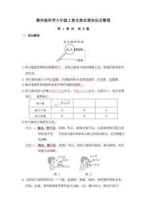 教科版科學(xué)六年級(jí)上冊(cè)全冊(cè)必背知識(shí)點(diǎn)整理.docx