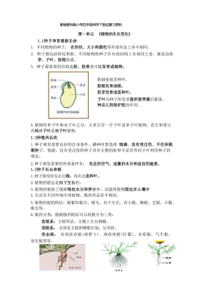 教科版四年級下冊科學總復習資料.docx