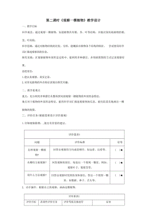 大單元整體教學(xué)】教科版科學(xué)一上第一單元植物2觀察一棵植物課時(shí)教案.docx