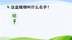 2023-2024部編版語(yǔ)文三年級(jí)下冊(cè)習(xí)作：我的植物朋友（課件）.ppt