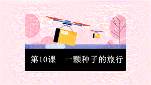 湘教版八年級下冊心理健康10《一顆種子的旅行》課件.pptx