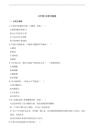 古詩專題練習(xí)-小升初語文1（含答案）.docx