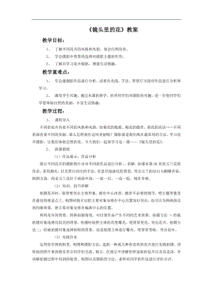 人美版六年級上冊美術《鏡頭里的花》教案.doc