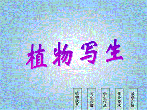 人美版四年級(jí)下冊(cè)美術(shù)第1課 植物寫(xiě)生 課件(1).ppt