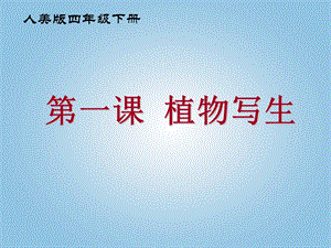 人美版四年級下冊美術第1課 植物寫生 課件.ppt