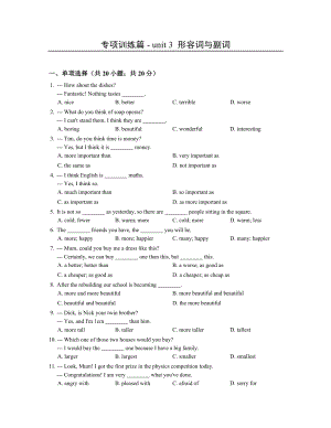 中考英語詞匯語法專題訓練——形容詞與副詞.docx
