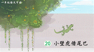2023-2024部編版語文一年級下冊20小壁虎借尾巴（生字講解）.ppt