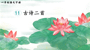 2023-2024部編版語文一年級下冊11古詩二首（生字講解）.ppt