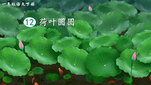 2023-2024部編版語文一年級下冊12荷葉圓圓（生字講解）.ppt