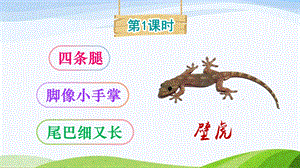 2023-2024部編版語文一年級下冊20小壁虎借尾巴（課件）.ppt